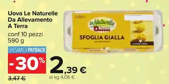Carrefour Le Naturelle Da Allevamento A Terra Uova Conf 10 Pezzi 590 g offerta