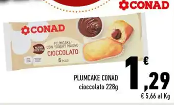 Conad Conad Plumcake 228g offerta