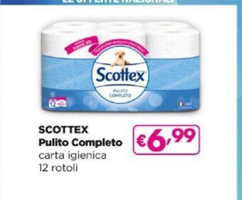 Acqua & Sapone Scottex Pulito Completo carta igienica 12 rotoli offerta