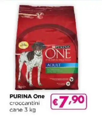 Acqua & Sapone Purina One croccantini cane 3 kg offerta