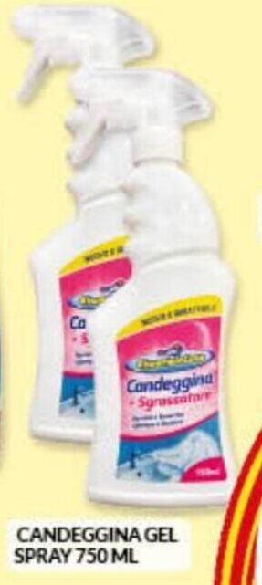 Risparmio Casa Candeggina Gel Spray 750 ml offerta
