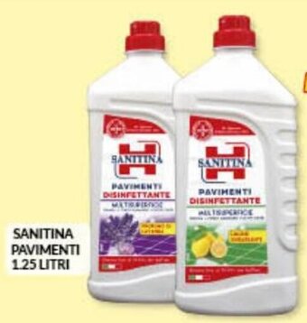 Risparmio Casa Sanitina Pavimenti 1.25 litri offerta