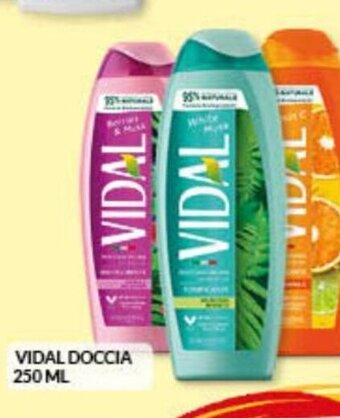 Risparmio Casa Vidal Doccia 250 ml offerta
