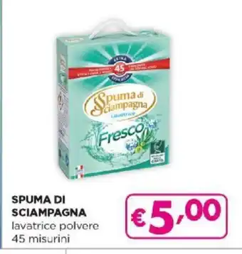 Acqua & Sapone Spuma Di Sciampagna lavatrice polvere 45 misurini offerta