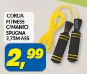 Corda Fitness C/Manici Spugna 2,75m Ass