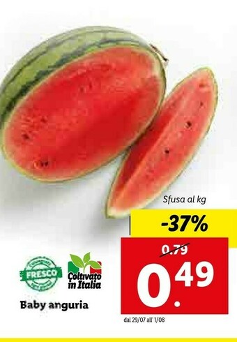 Lidl Baby Anguria offerta