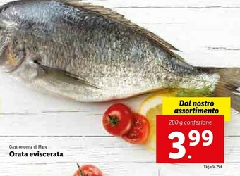 Lidl Orata Eviscerata offerta