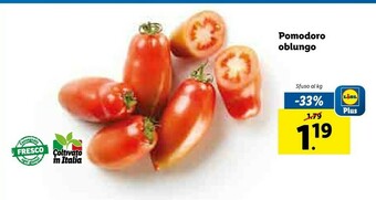Lidl Lidl Pomodoro Oblungo offerta