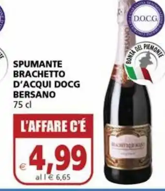 Il Gigante Spumante brachetto d'acqui docg bersano offerta