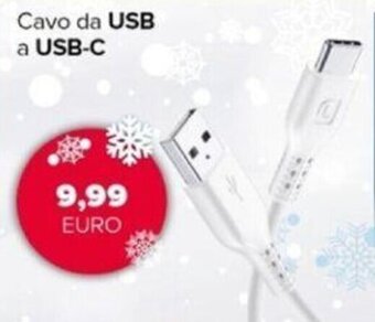 Euronics Cellularline Cavo da USB a USB-C offerta