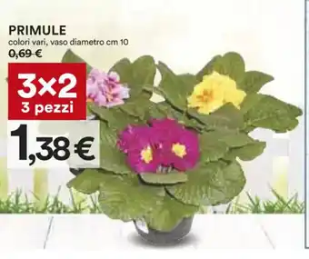 Coop Primule colori vari, vaso diametro 10 cm 3 pezzi offerta