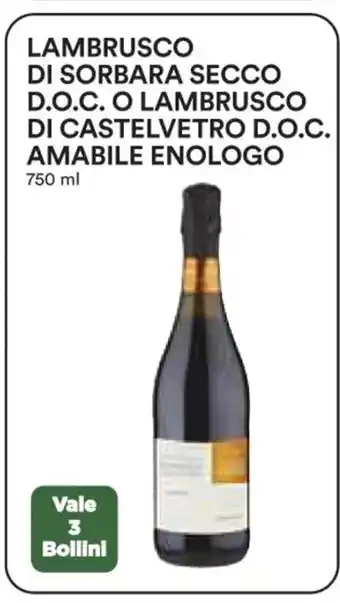 Lambrusco Di Sorbara Secco D.O.C. O Lambrusco Di Castelvetro D.O.C. Amabile Enologo 750 ml