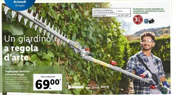 Lidl Parkside Tagliasiepi Elettrico A Braccio Lungo offerta