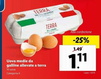 Lidl Uova Medie Da Galline Allevate A Terra offerta