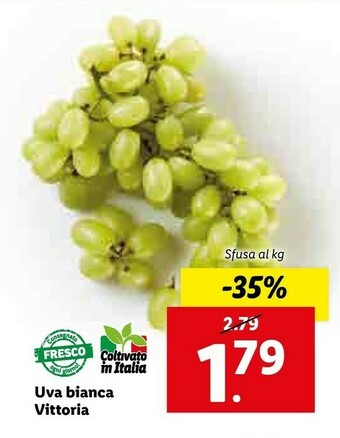 Lidl Lild Uva Bianca Vittoria offerta