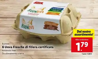 Buonovo 6 Uova Fresche di filiera certificata Antibiotic free