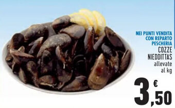 Conad Cozze Nieddittas Allevate offerta