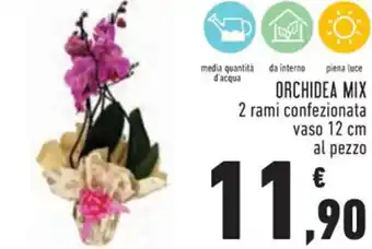 Conad Orchidea Mix 2 Rami Confezionata Vaso 12 cm offerta