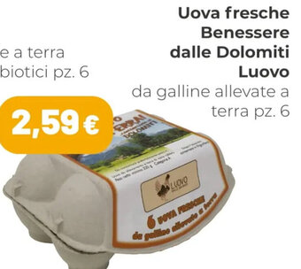 Coop Uova Fresche Benessere Dalle Dolomiti Luovo da Galline Allevate A Terra pz.6 offerta