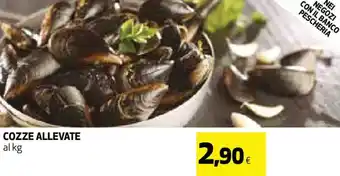 Coop Cozze Allevate offerta