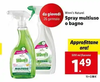 Lidl Spray multiuso o bagno offerta