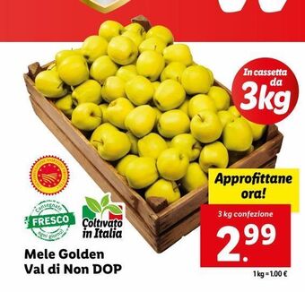 Lidl Mele golden val di non dop offerta
