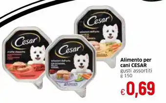 IperFamila Cesar Alimento per cani gusti assortiti 150 g offerta