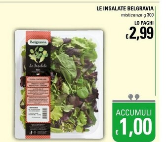 Basko Le Insalate Belgravia Misticanza 300 G offerta