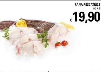 Rana Pescatrice