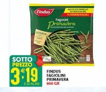 Sisa Findus Fagiolini Primavera 600 gr offerta