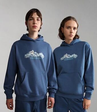 Napapijri Felpa con cappuccio backcountry offerta