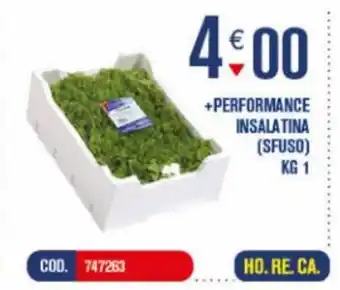 Adhoc +Performance Insalatina Sfuso offerta