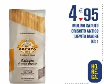 Mulino Caputo Criscito Antico Lievito Madre 1 kg