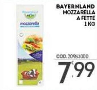 Bayernland Mozzarella a Fette 1 kg