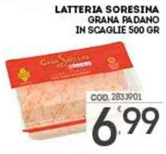 Eurocash Latteria Soresina Grana Padano in Scaglie 500 gr offerta