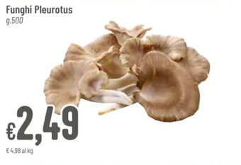 Pan Funghi Pleurotus g. 500 offerta