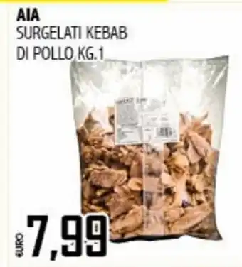 Big Food AIA Surgelati Kebab di Pollo 1 kg offerta