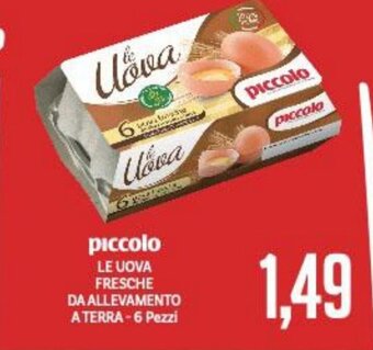 Supermercati Piccolo piccolo Le Uova Fresche Da Allevamento A Terra - 6 Pezzi offerta