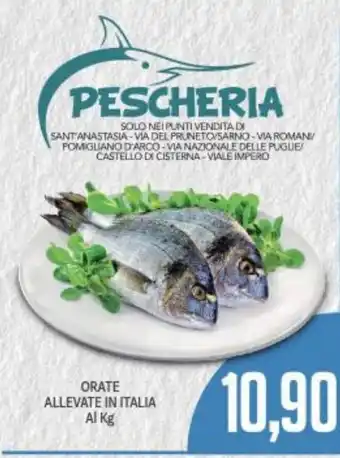 Supermercati Piccolo Orate Allevate In Italia Al Kg offerta