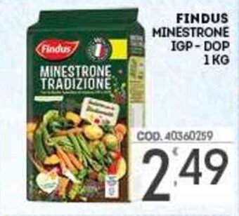 Eurocash Findus Minestrone IGP - DOP 1 kg offerta