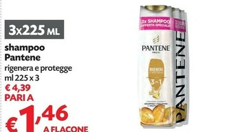 Pam Pantene Shampoo offerta