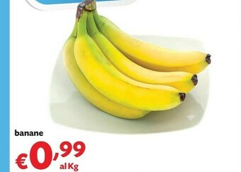 Pam Banane offerta