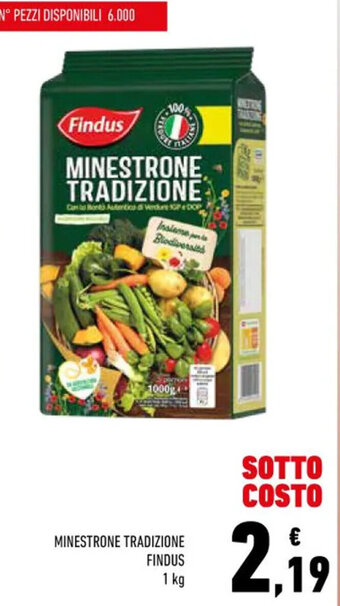 Conad Findus Minestrone Tradizione 1 kg offerta