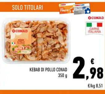 Conad Conad Kebab di Pollo 350 g offerta