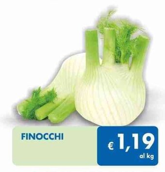 MD Discount Finocchi offerta