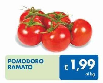 MD Discount Pomodoro Ramato offerta