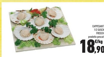 Conad Cappesante offerta