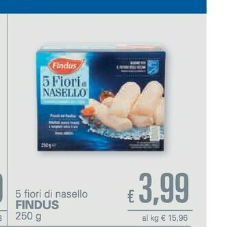 Unes Findus 5 Fiori Di Nasello 250 G(ml) offerta