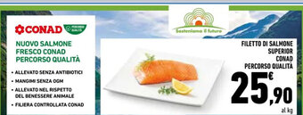 Conad Conad Filetto Di Salmone Superior Percorso Qualità offerta