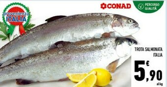 Conad Trota offerta